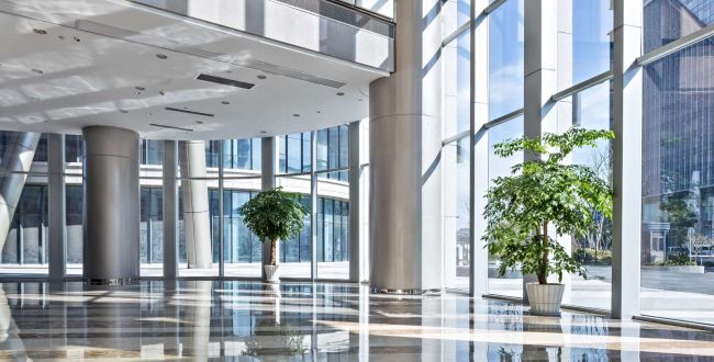 Mein alternativer Text